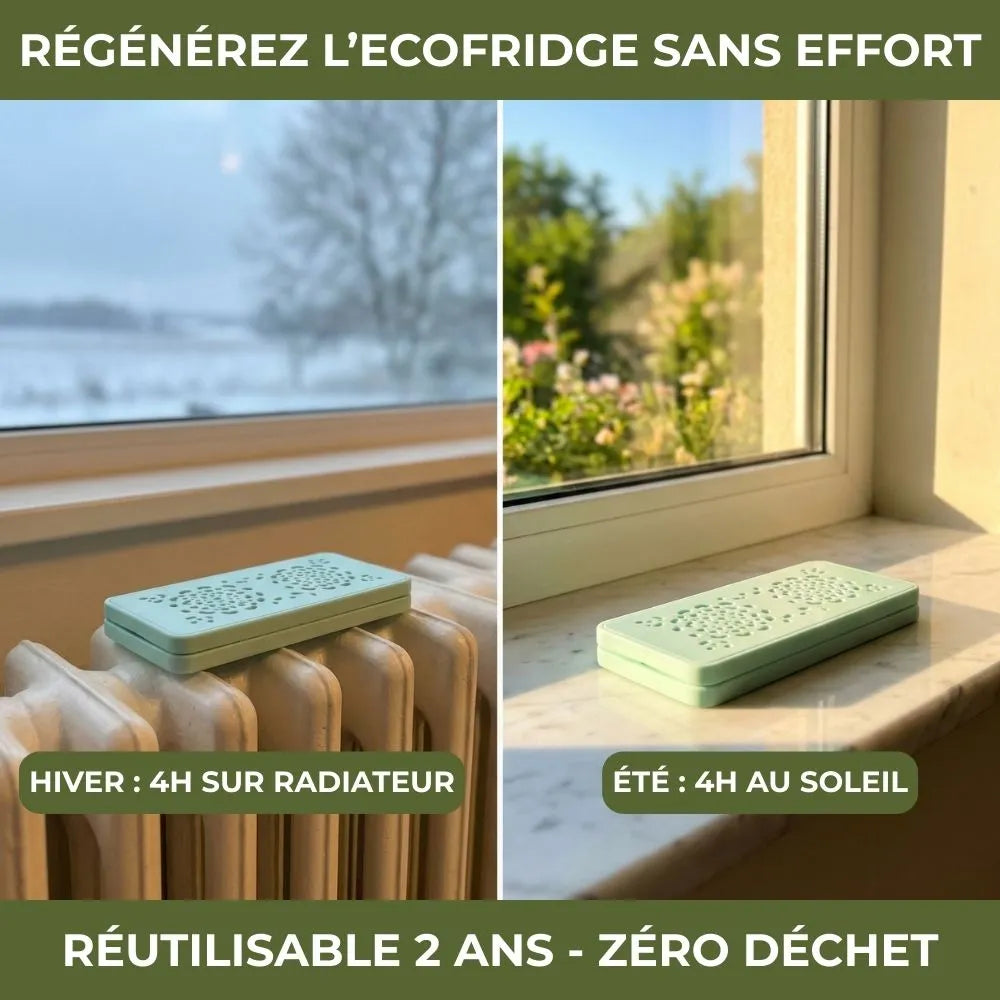 Ecofridge - Vos fruits et légumes frais plus longtemps