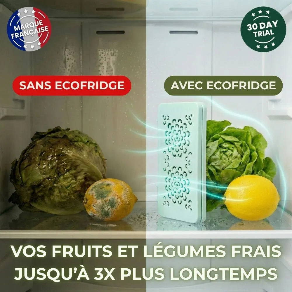 Ecofridge