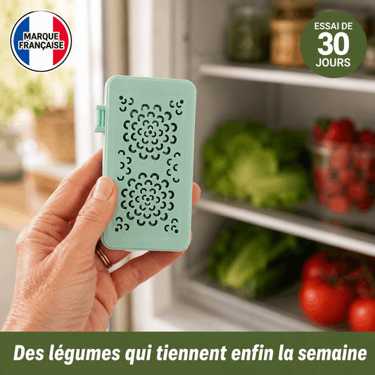 Ecofridge - Vos fruits et légumes frais plus longtemps