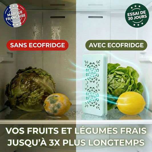 Ecofridge