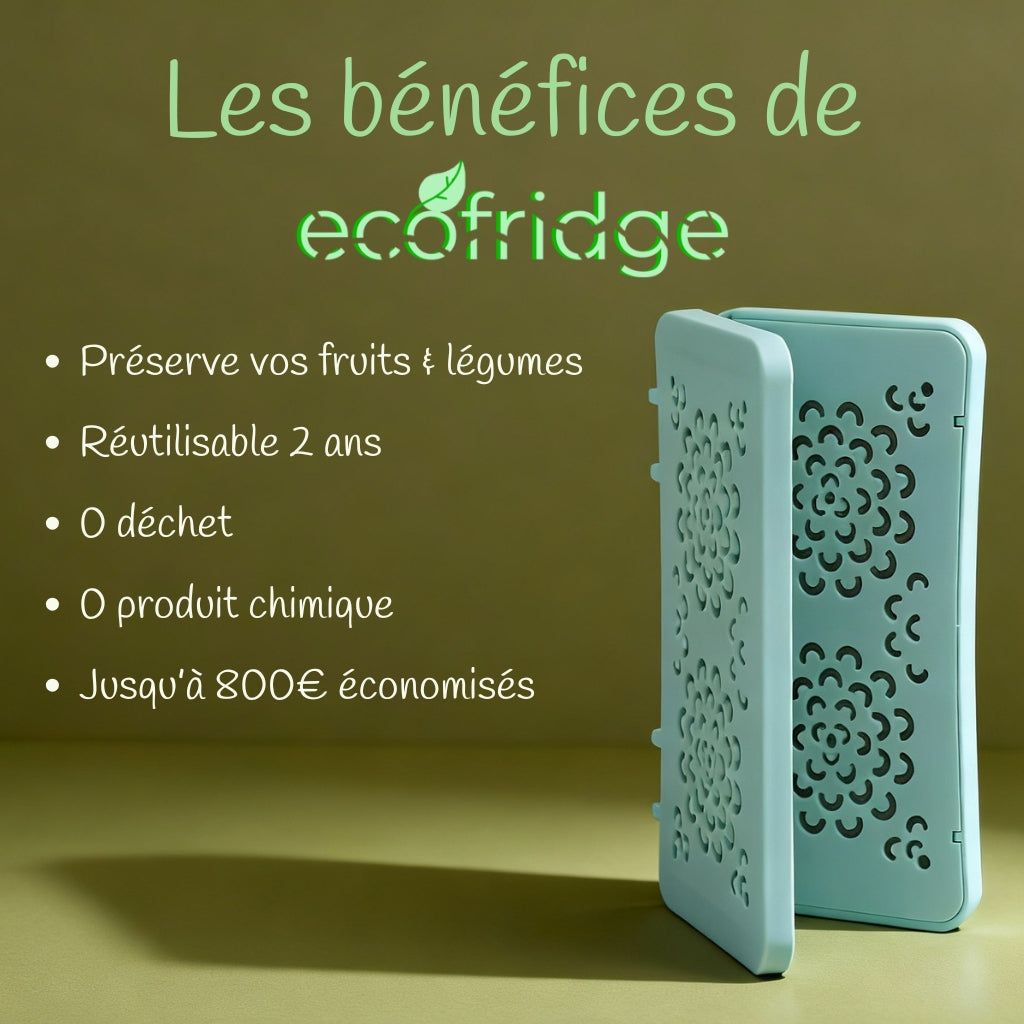 Ecofridge